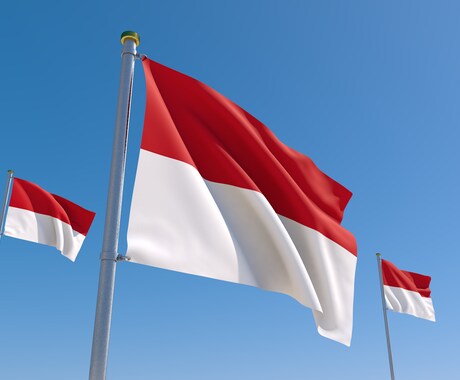 インドネシア語通訳します 日本語からインドネシア語へ通訳します イメージ1