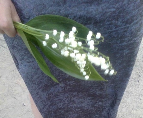 3〜４月限定  タロットで答えを引き出します オールジャンルOK / 500字以上でお届け イメージ1