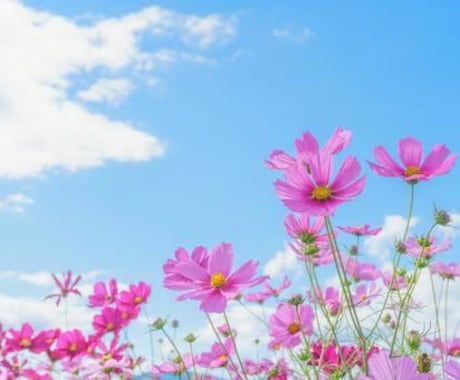 看護師があなたの日常の悩みや不安に寄り添います 前向きな気持ちで明日を迎えられるよう、全力でサポートします。 イメージ2