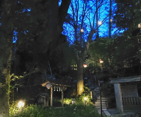 夜の不安を整える癒やしの言葉を届けます 眠る前に、気持ちが軽くなる言葉を一通お届けします。 イメージ1