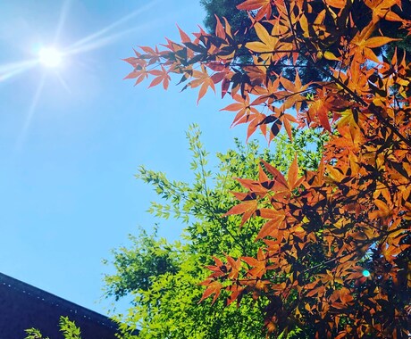風景写真の素材を提供します 爽やかな自然など…ご要望があれば相談下さい！ イメージ2