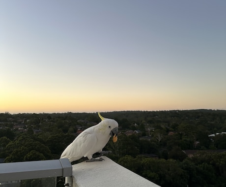 メンタルブロックを外し潜在意識の書き換え手伝います なりたい自分を叶えるお手伝いをさせて頂きます！ イメージ1