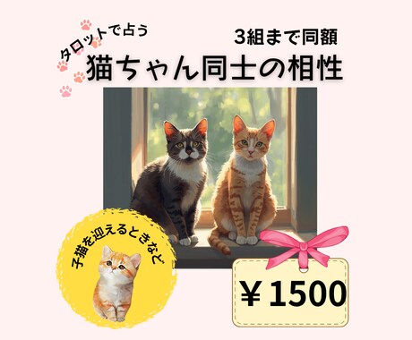 テキスト鑑定！猫ちゃん同士の相性を占います 新しく猫ちゃんを迎えるときなど。3組まで同額です！ イメージ1