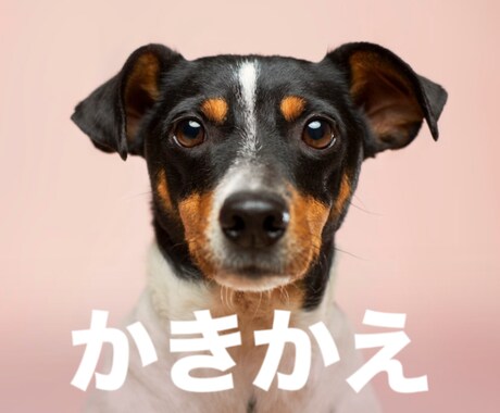 不要な無意識の思い込みを見つけて「かきかえ」ます 思考パターンを変えると現実が変わります！ イメージ1