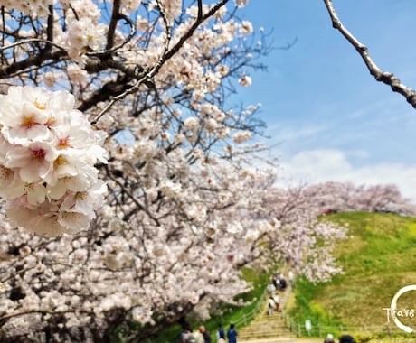 花札占い  で あなたの 運勢を占います 万葉の時代から続く《日本》人の美意識と共鳴する占い イメージ1