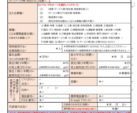 小規模事業者持続化補助金の計画書を添削支援します 審査の”ツボ”をおさえた事業計画書の作成支援！ イメージ2
