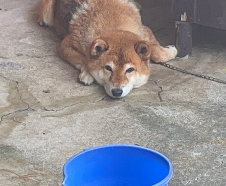 カテゴリ問いません。お話し聞きます 感覚より理屈！って方と相性良いと思います。言語化が得意です。 イメージ1