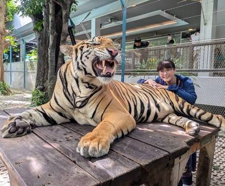 初めての個人手配旅行のお手伝いをします 旅の企画からチケット手配など、どうしたら良い？を解决 イメージ1