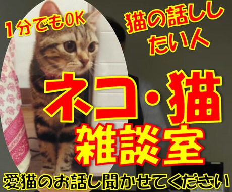 ネコのお話ししませんか？猫トークで盛り上げます 愛ネコYouTuber！猫たちの成長記録や難病克服日記配信 イメージ1