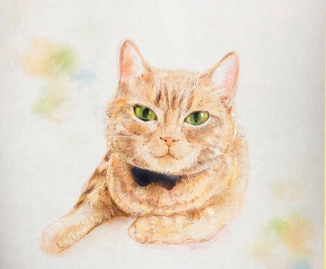 あなたの大切な愛猫の似顔絵描きます 柔らかい雰囲気でリアルな似顔絵描きます イメージ1