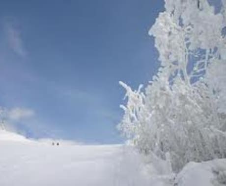 【関西近郊の方or京都旅行の方　限定】超穴場!!!天然雪のスキー場情報をお伝え致します。 イメージ1