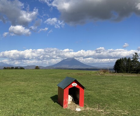 面識のないプロの教師がアドバイスします 担任の先生に相談できない…。なら、「面識のない」先生に相談！ イメージ1