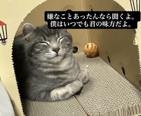 猫のぽむちゃんがあなたの話し相手になります 猫ちゃんとお話しして癒されていきませんか？ イメージ1