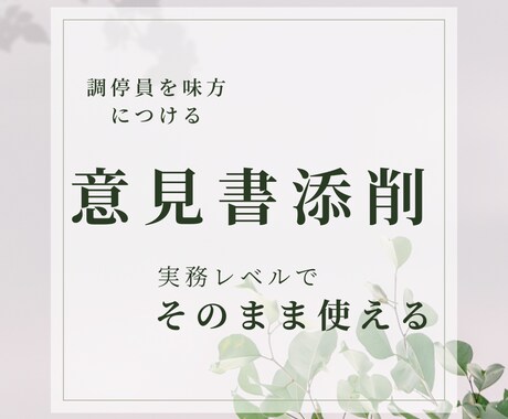 面会交流・養育費の意見書を実務レベルで添削します 調停員を味方につける意見書を徹底サポート致します。 イメージ1
