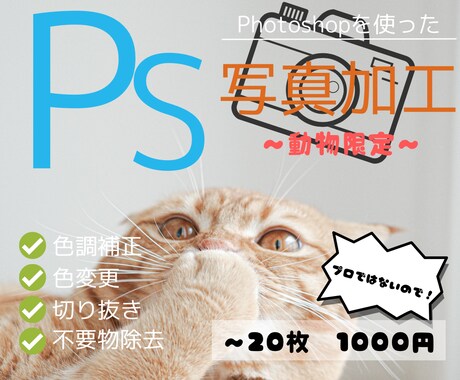 Photoshopで写真の色調補正、修正等承ります 最短即日！ご用命に沿った編集を！ イメージ1