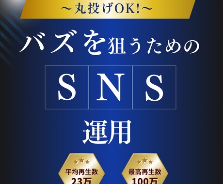 リールメインのSNS運用代行します リールでバズを狙う！再生数100万超えの実績あり イメージ1