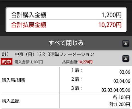 中央競馬の厳選したレースの本命馬を提供致します 中央競馬！重賞レース！の本命馬、買い目を教えます イメージ2
