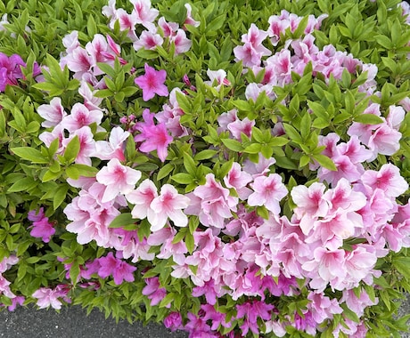 主介護者様としっかりつながります 主に介護されている方と一緒に笑顔になりましょう イメージ2