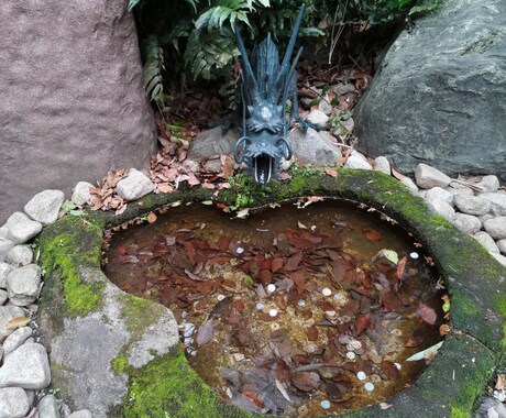 最善の人生を選択するお手伝いをします ペットの気持ち、ペットロスにも対応! イメージ2
