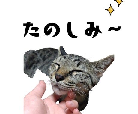 ペット写真からLINEスタンプ16個セット作ります ☆大切なペットをオリジナルLINEスタンプに イメージ2
