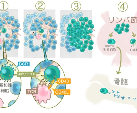 科学イラスト描きます 研究説明フィギュア～抽象概念イラストまで、幅広く イメージ2
