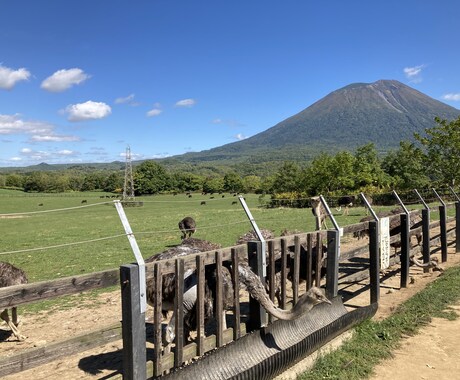 愚痴、悩み、不安、聞きます あなたの悩み私に教えてくれませんか？ イメージ1