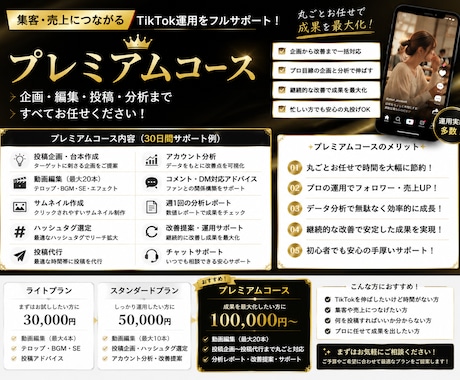 TikTok運用を丸ごと代行します 集客につながるTikTok運用を徹底サポート イメージ2