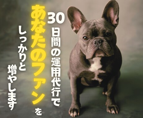 モニター募集中✨インスタ✨本物のファンを増やします 30日間運用代行✨集客力UP✨あなた専用の唯一無二のサービス イメージ1