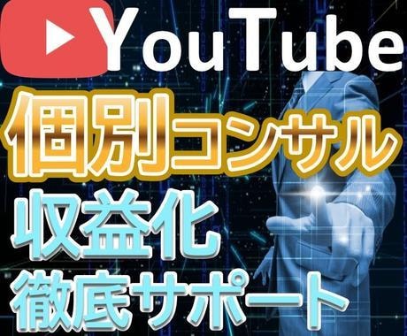 YouTubeで成功する為のコンサルティングします チャンネル登録、再生数、サムネイル、宣伝 イメージ1