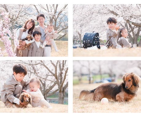 8月限定！プロ写真家がお得に出張撮影をします 個人写真・家族写真はお任せください！自然な表情を引き出します イメージ2