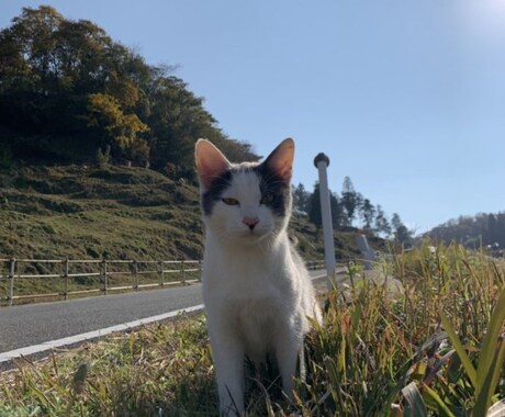 あなたのこころの悩みに寄り添います 登校拒否、摂食障害、親子関係、お話しませんか？ イメージ1