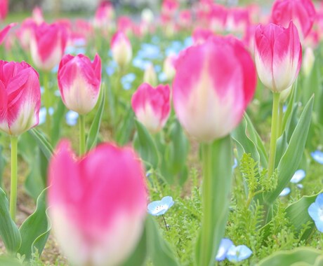 なんでも相談♪ちょっと聞いて〜というお話伺います 5分だけお試しもOK！看護師兼カウンセラーに話してみて♪ イメージ2