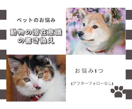 アニマルコミュニケーションします その行動、ちゃんと理由があります イメージ1