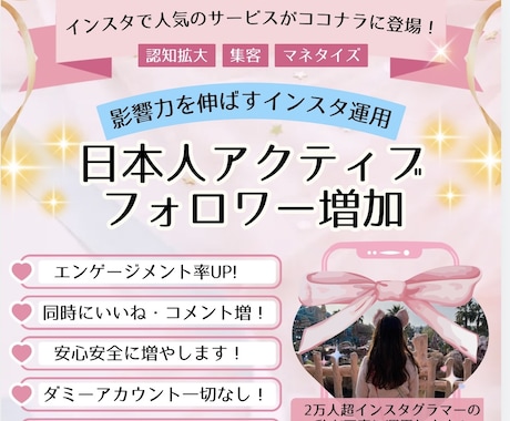 安心安全に日本人アクティブフォロワー増やします 「インスタで人気のサービスがココナラに進出！」10日間 イメージ1