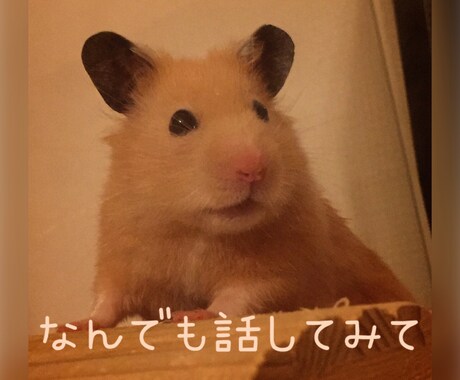 今すぐ誰かと話したい！愚痴・悩み　なんでも聴きます 知り合いには話しにくい事も、ここで気軽に話してみませんか？ イメージ1