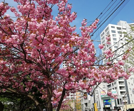 どんなお話でもなんでもききます どんな相談でもどんなお話でも構いません！ イメージ1