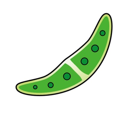 ミカヅキモと話せます ミカヅキモが何でも相談に乗ります。 イメージ1