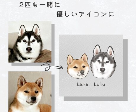 シンプルでやさしいうちの子（犬猫）アイコン描きます 実績作りのため1,000円！ペット似顔絵／アイコン イメージ2