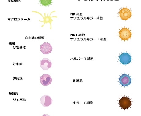 心が楽になり元気になる方法教えます 心が変われば自分が変わります。相手も世の中も変わります。 イメージ2