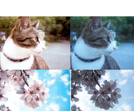 SNSや記念に。お写真の「色味補正」承ります イメージ1