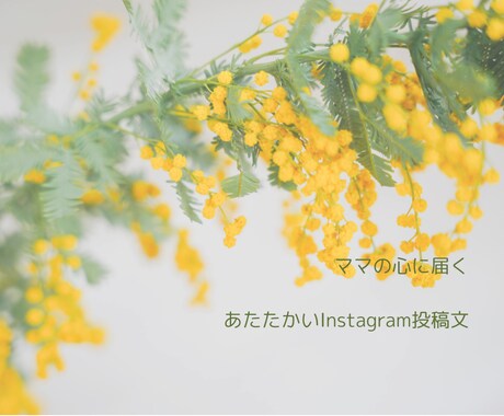 ママの心に届くあたたかいインスタ投稿文を作成します 子育て経験を活かし、ママに届くやさしい文章の言語化をお手伝い イメージ1