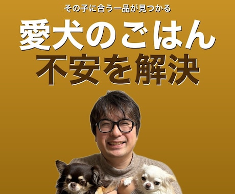 犬の食事やフードの不安を一緒に整理します 今のごはんが合っているか 迷っている方へ イメージ1