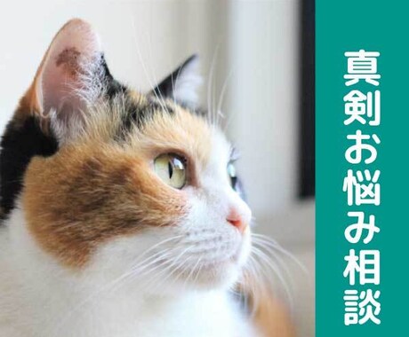悩み相談うけたまわります 人生相談や人間関係相談など真剣に話をしたい方 イメージ1