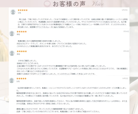 ビデオ通話付き！履歴書/職務経歴書代行・添削します 転職6回の経験者が自己PR作成や職務要約の添削や代行します イメージ2