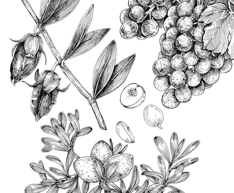 お洒落な手描き風のイラストを描きます 挿絵などに使用できそうなイラストを幅広く描きます。 イメージ2