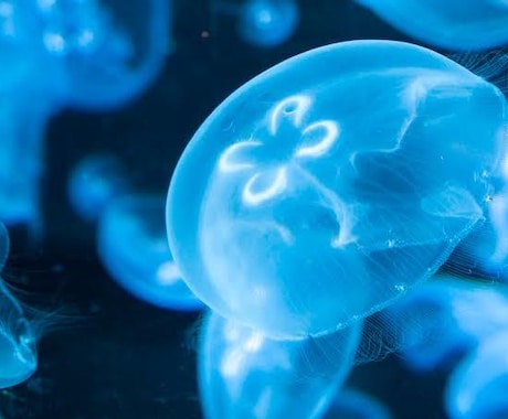 現役医学部塾講師が受験生物教えます 暗記ではなくストーリーで身につける生物 イメージ1