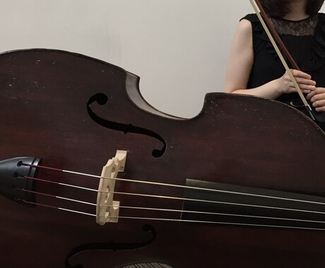 初心者ok！コントラバスのレッスンをします 音大卒現役奏者、講師歴10年！オケや吹奏楽、基礎練も見ます！ イメージ1