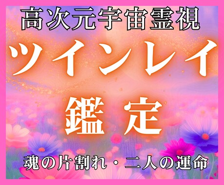 一向に動かない現実・サイレントの苦しみを打破します 高次元宇宙霊視で視る魂の設計図と魂の試練の根本原因と未来軌道 イメージ1