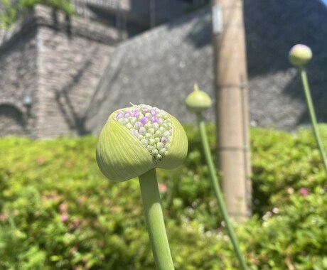 開運【未来像】とつながり【霊視タロット】で占います 3step現状→原因→対策で願いを叶える☆ イメージ1