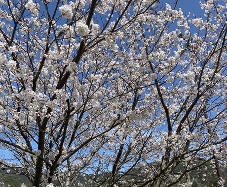 悩み事、愚痴、恋愛相談、何でも聞きます 電話苦手な方、LINE感覚で話しませんか イメージ1